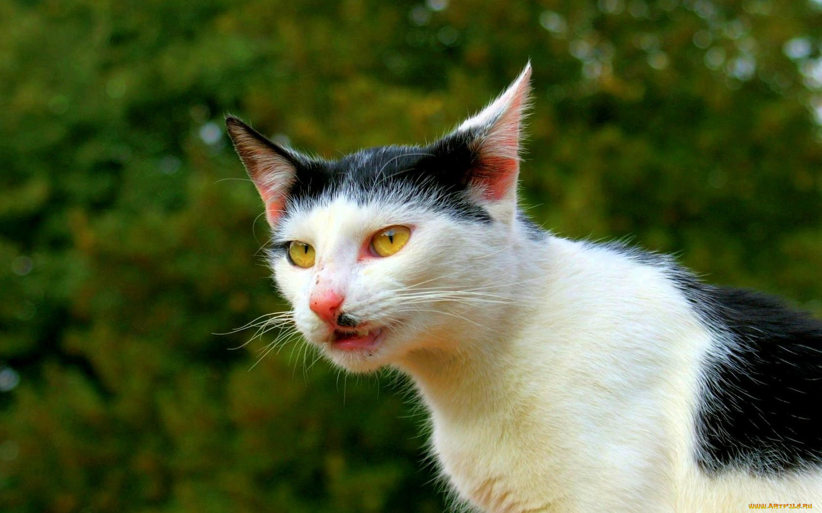 , , -, 